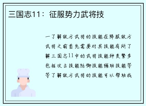 三国志11：征服势力武将技